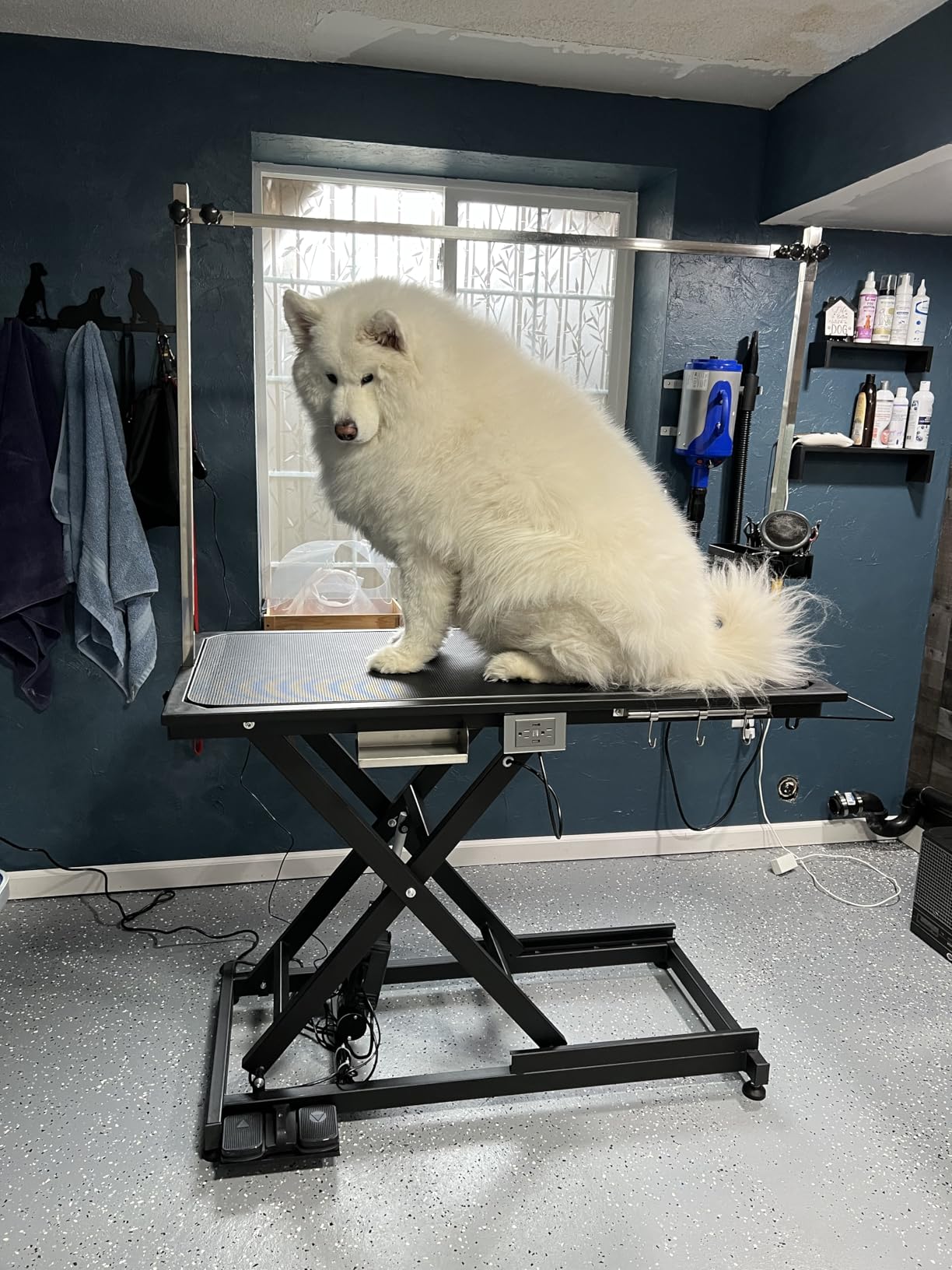 Upgrade Electric Pet Grooming Table Super Deluxe 50
