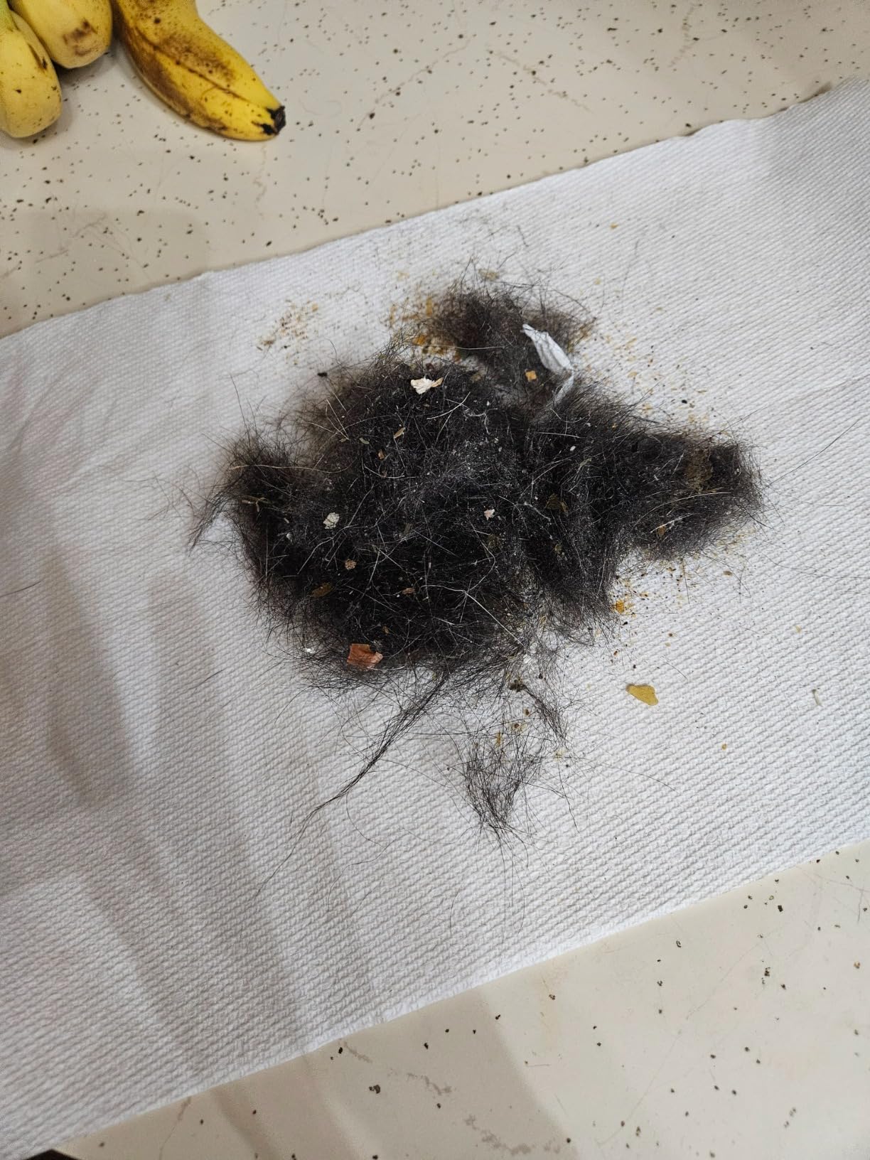 Shark Robot Vacuum & Mop Combo, Powerful Suction, Matrix Plus, 60-Day Debris Capacity, HEPA Bagless Self Empty Base, Sonic Mopping, Home Mapping for Pet Hair - Carpets & Hardfloor, AV2610WA customer photo 2