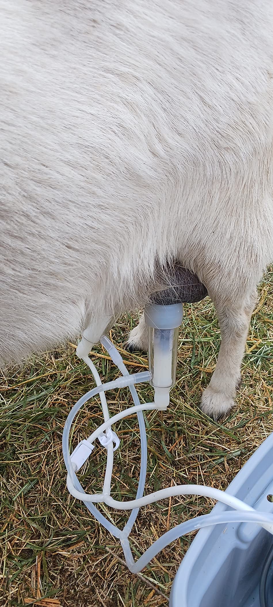 3L Goat Milking Machine,Rechargeable Battery Milker Powered Pulsation Vacuum Pump with 2 Teat Cups customer photo 1