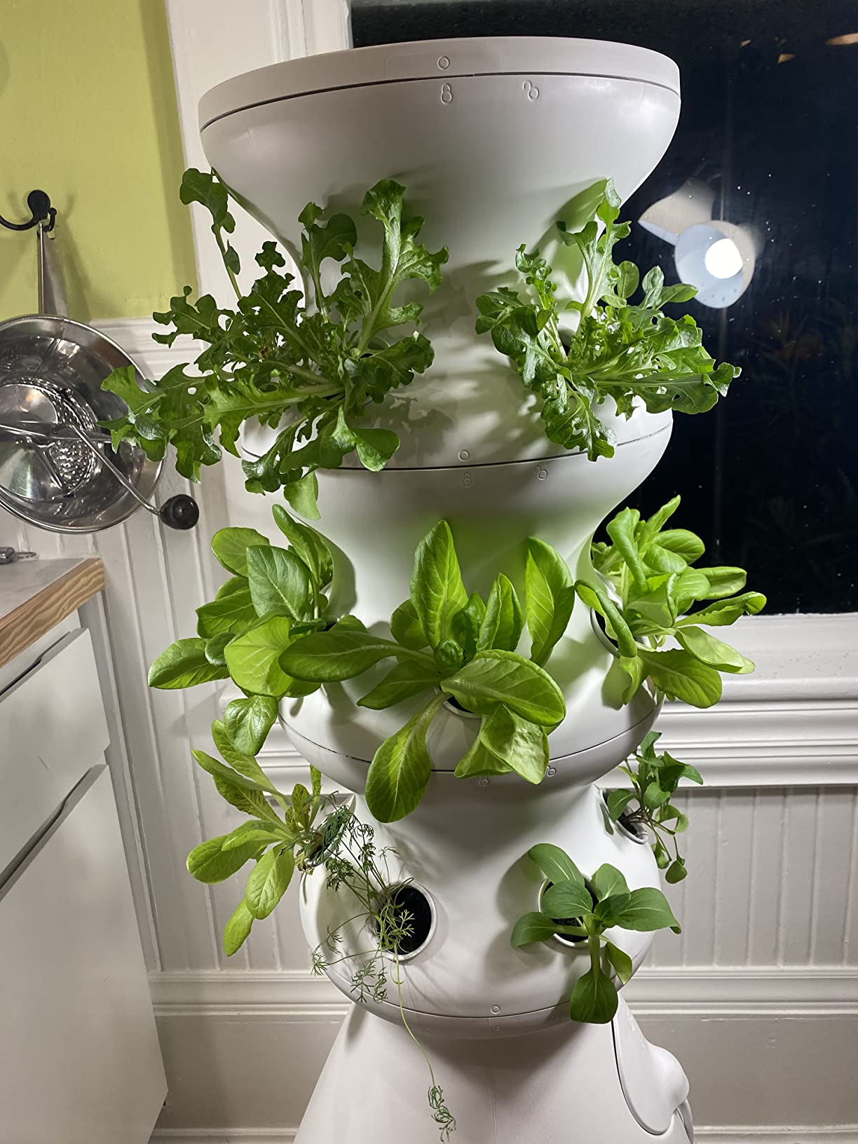 Farmstand Starter Kit + 24 Seedling Credit | Medium Hydroponic Growing System Kit | Self-Watering Outdoor Vertical Garden Planter Tower | 4ft 10in | Made in USA customer photo 1