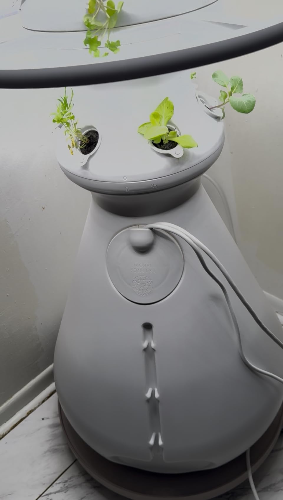 Lettuce Grow Farmstand Starter Kit with Glow Rings + 30 Seedling Credits | 5 ft Vertical Hydroponic Garden Tower | Self-Watering Family Growing System for Vegetables, Herbs & Greens customer photo 1