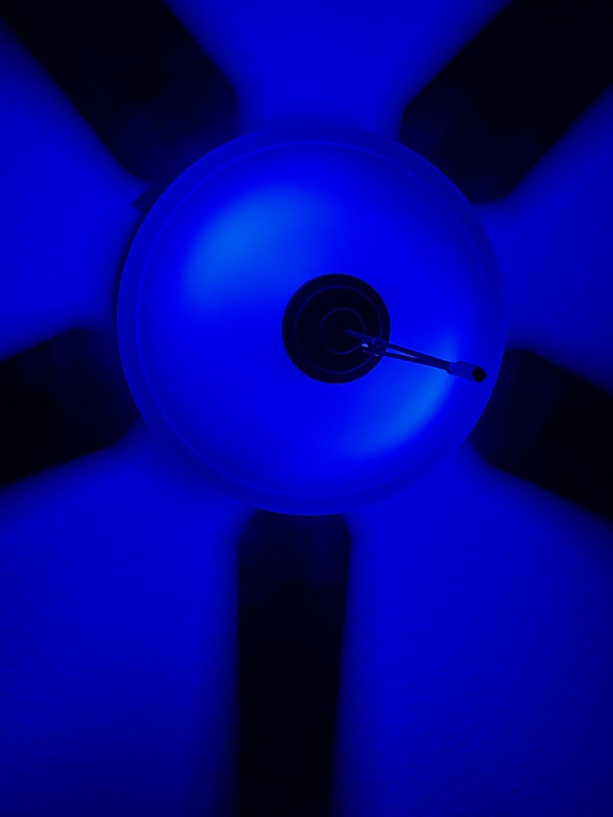 Linkind Smart Light Bulbs, Smart Bulb That Work with Alexa & Google Home, LED Light Bulbs Color Changing, 104 Preset Scene, Music Sync, A19 E26 2.4GHz RGBTW WiFi Bluetooth Light Bulb 60W, 800LM, 4Pack customer photo 2