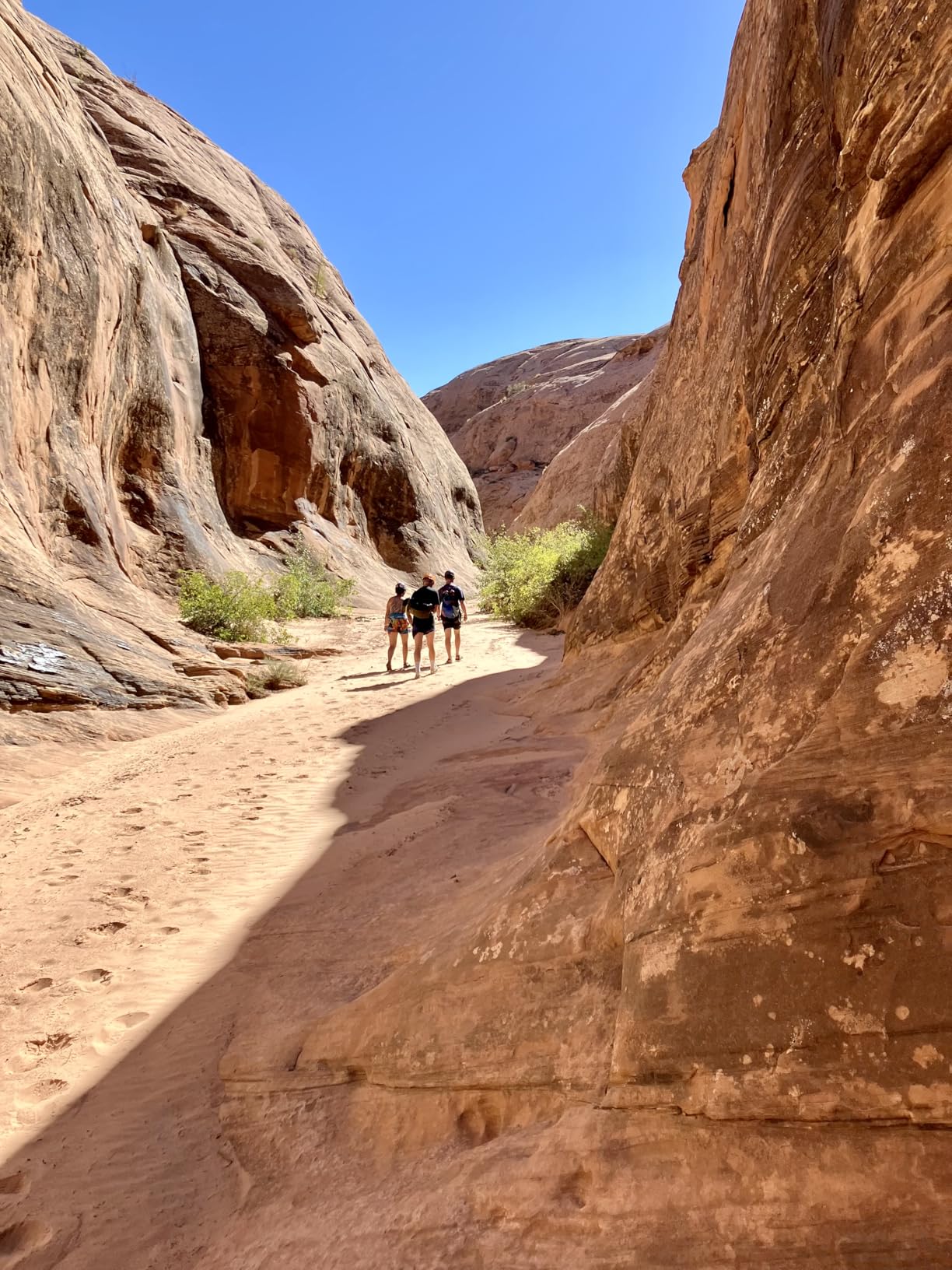 Garmin inReach Messenger Handheld Satellite Communicator, Global Two-Way Messaging customer photo 1