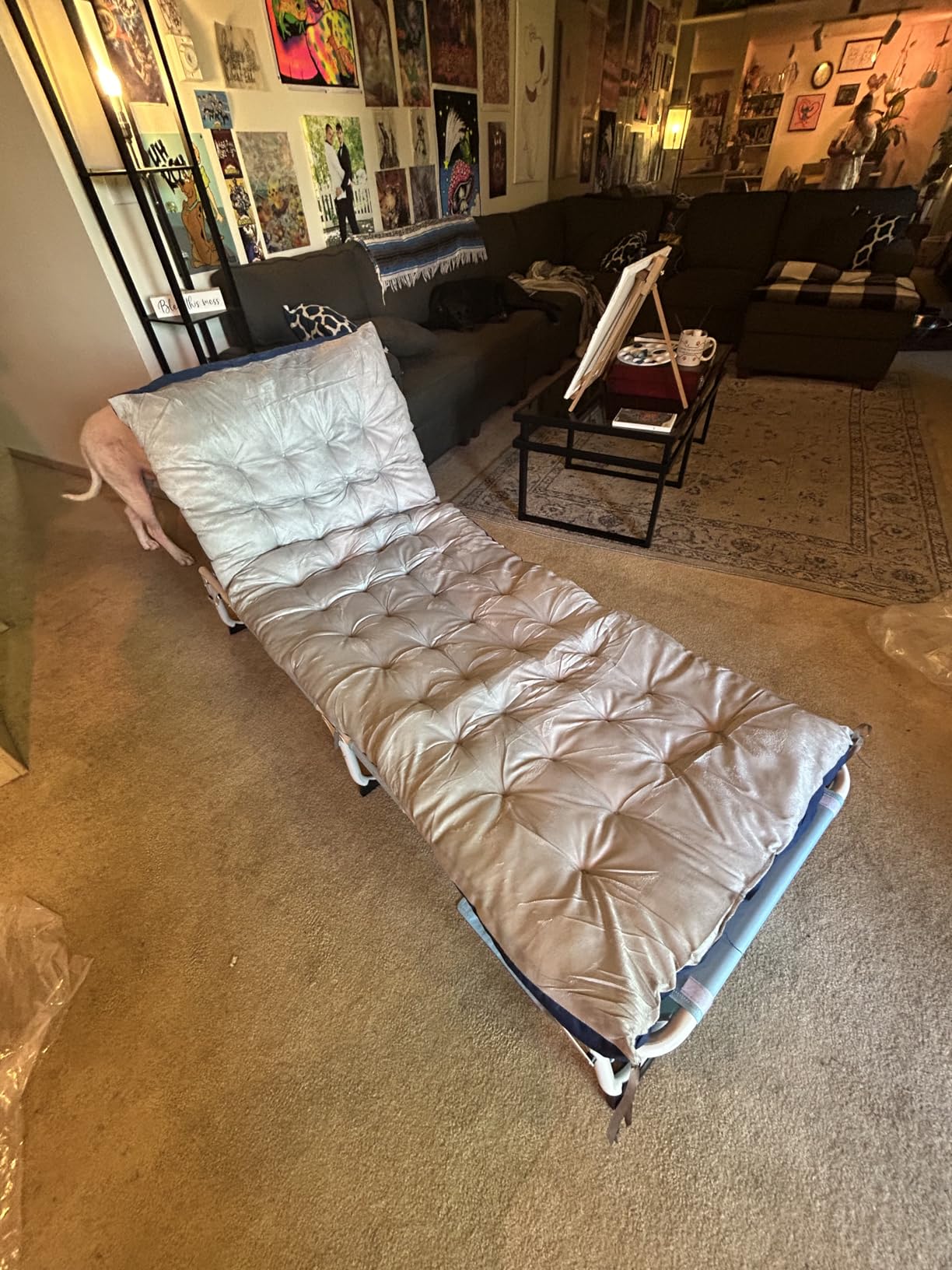 ABORON Chaise Lounge Chair, 5 Positions Padded Outdoor Tanning Chair, Heavy Duty Portable Lounge Chair for Outdoor Sunbathing Patio Pool Lawn Deck Poolside, Support up to 440 Lbs customer photo 1