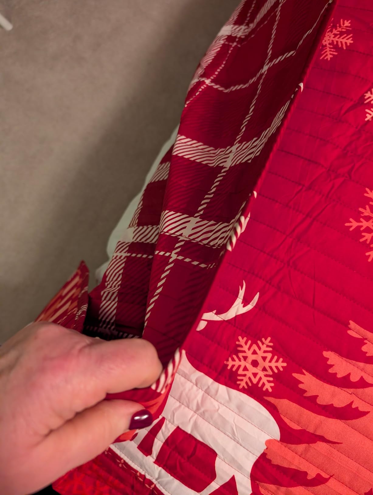 Bedsure Floral Quilt Queen Size - Reversible Botanical Floral Comforter, Spring Lightweight Bedspread Quilted Bedding, Soft Microfiber Coverlet for All Seasons (90x96) customer photo 1