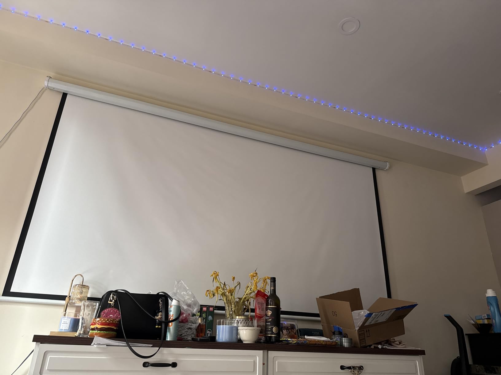 DINAH 120 Inch Electric Projector Screen with Remote, Automatic Air Indoor Drop Down, Motorized 4K 3D HD Projection for Movies customer photo 1