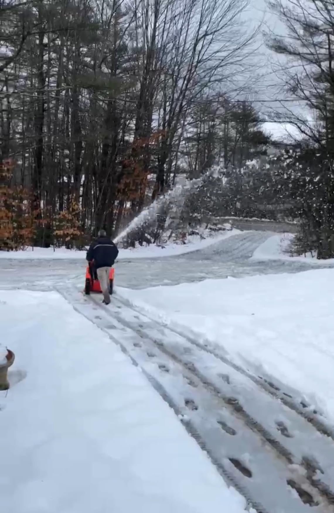 Ariens Professional (28