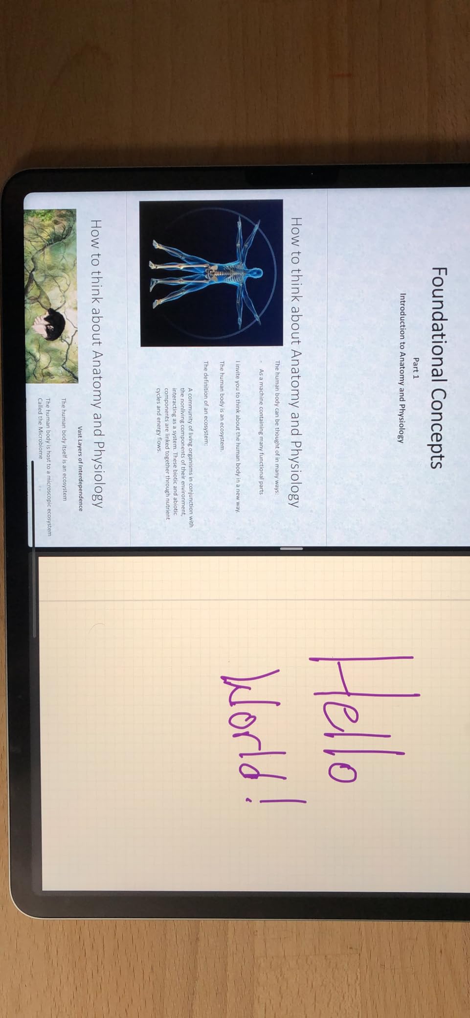 iPad Pro 12.9-inch (6th Generation): with M2 chip, Liquid Retina XDR Display, 128GB, Wi-Fi 6E, 12MP front/12MP and 10MP Back Cameras, Face ID, All-Day Battery Life - Space Gray customer photo 1