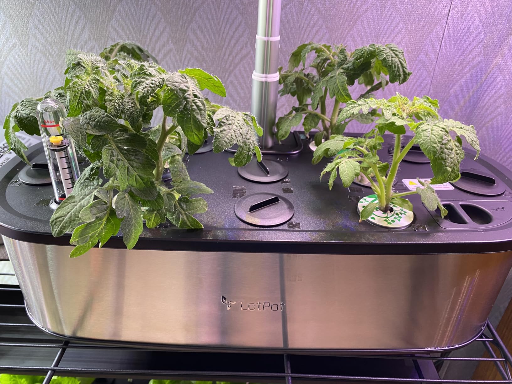 LetPot LPH-SE Hydroponics Growing System, 12 Pods Smart Herb Garden Kit Indoor, APP & WiFi Controlled, with 24W Growing LED, 5.5L Water Tank, Pump System, Automatic Timer customer photo 1