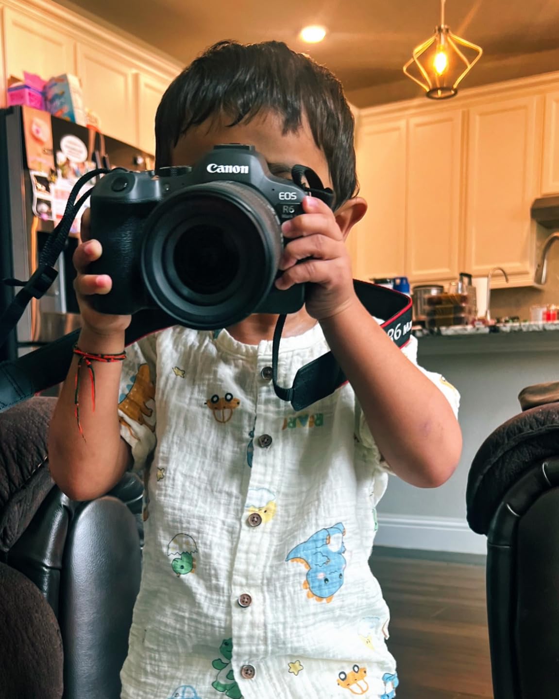 Canon EOS R6 Mark II Mirrorless Camera RF24-105mm F4-7.1 is STM Lens Kit, Full-Frame Hybrid Camera, 24.2 Megapixel CMOS Sensor, Photo and Video Capabilities, Black customer photo 2