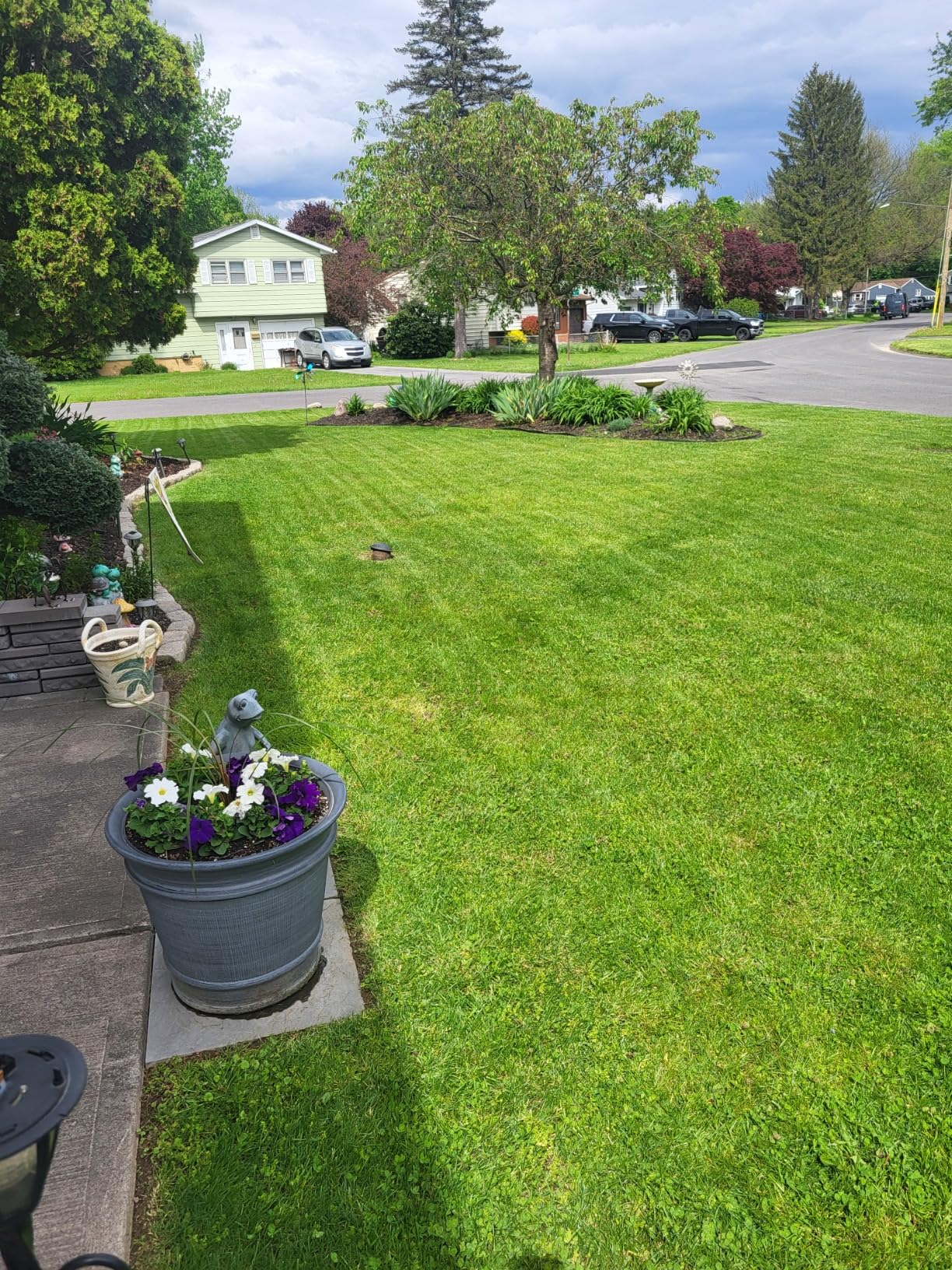 EGO Power+ Electric Lawn Mower, Self-Propelled Cordless with Touch Drive, Includes 56V 7.5Ah Battery and Rapid Charger customer photo 1
