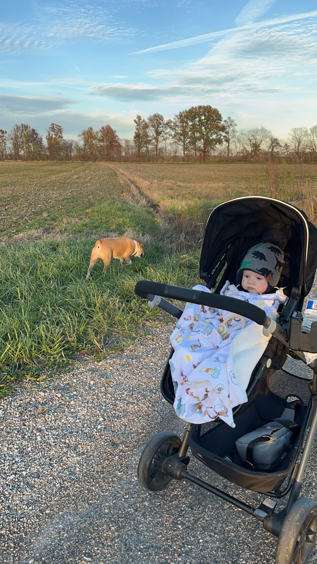 Pivot Xpand Modular Travel System with LiteMax Infant Car Seat with Anti-Rebound Bar (Ayrshire Black) customer photo 2