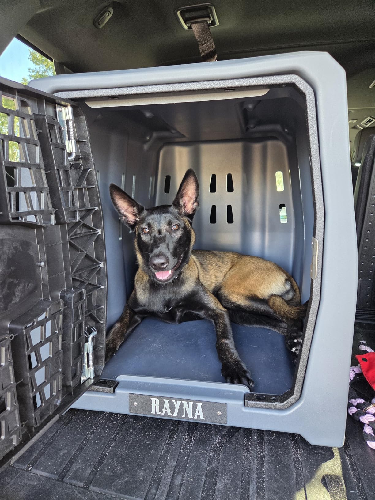 Lucky Dog Kennel, Durable Crash Tested Portable Dog Crates, Large customer photo 2