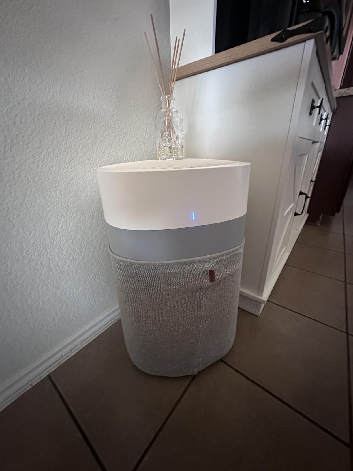 BLUEAIR Air Purifiers for Large Rooms, Cleans 3,048 Sqft In One Hour, HEPASilent Smart Air Cleaner For Home, Pets, Allergies, Virus, Dust, Mold, Smoke - Blue Pure 211i Max customer photo 1