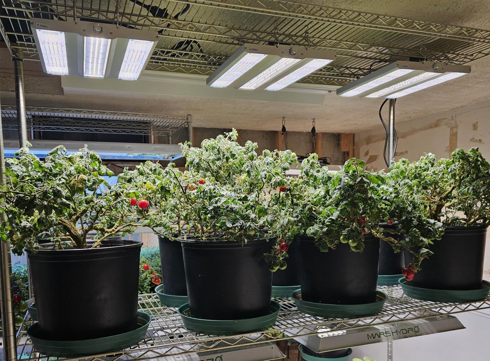 VIPARSPECTRA XS1500 Pro LED Grow Lights for Seed Starting Vegetables Bloom, New-gen Lens Dimming Daisy Chain Full Spectrum Grow Lights for Indoor Plants 2x2/3x3 Grow Tent Actual Power 150 Watt customer photo 1