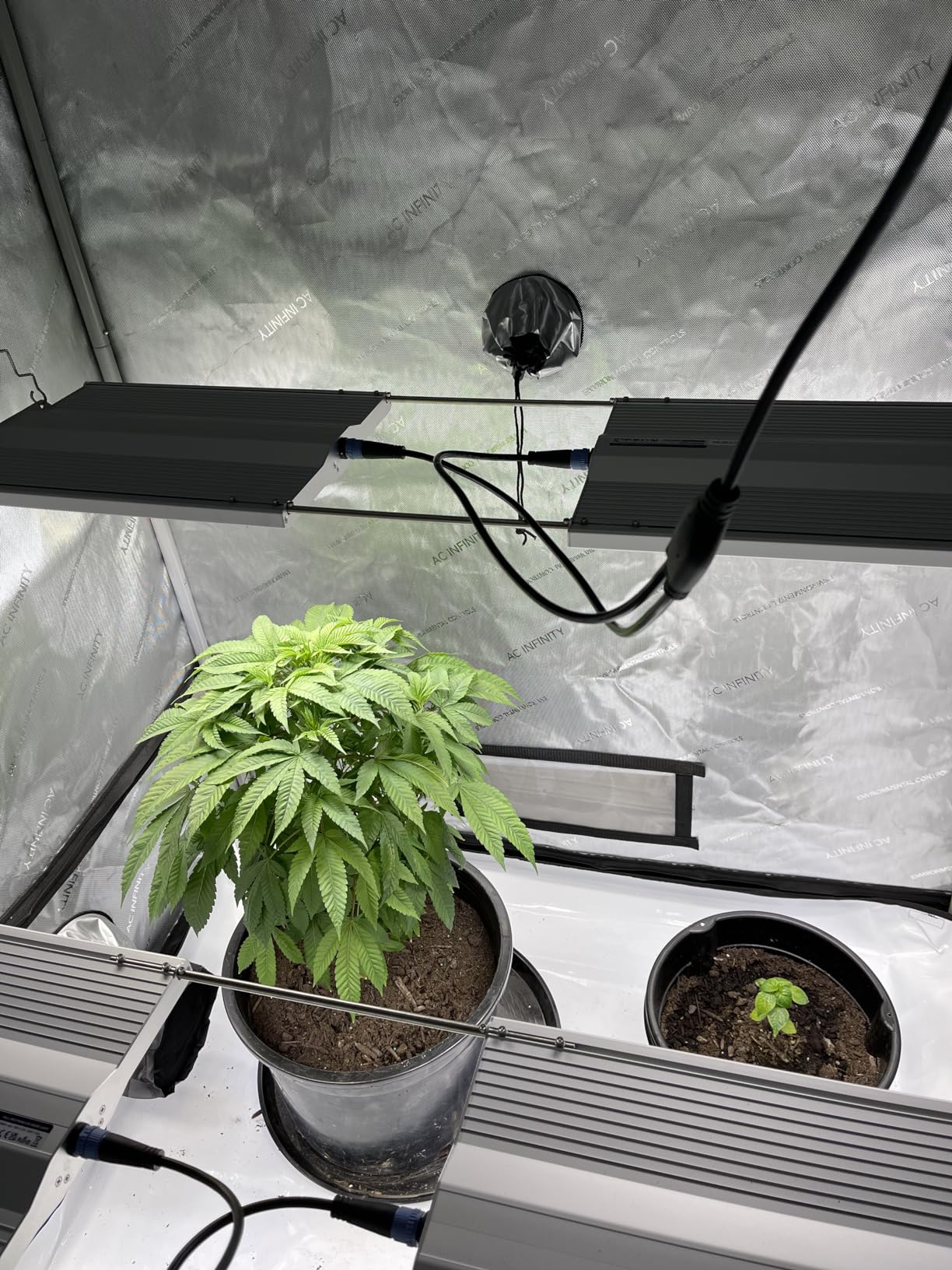 VIPARSPECTRA XS1500 Pro LED Grow Lights for Seed Starting Vegetables Bloom, New-gen Lens Dimming Daisy Chain Full Spectrum Grow Lights for Indoor Plants 2x2/3x3 Grow Tent Actual Power 150 Watt customer photo 2