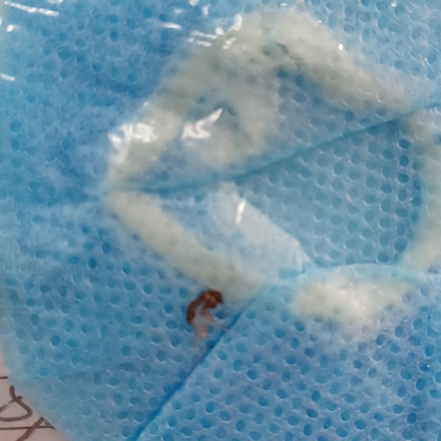 BBTO 300 Pieces Disposable Headphone Covers Non Woven Sanitary Fabric Headset Earphone Covers for Ear Pad Headphones (L-11 cm, Black) customer photo 2