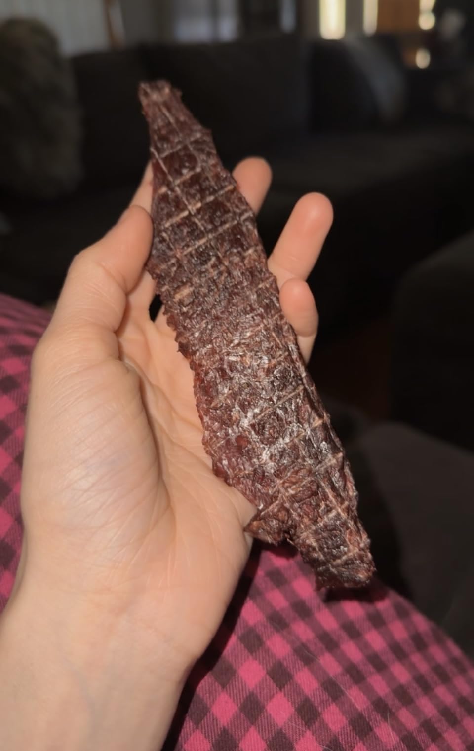 Magic Mill Pro Food Dehydrator Machine | Powerful 600W Rear Fan Even-Drying System | 7 Full-Size Stainless Steel Trays | 95°-176° Temperature Control, 48H Timer, Keep Warm + Auto Shutoff customer photo 1