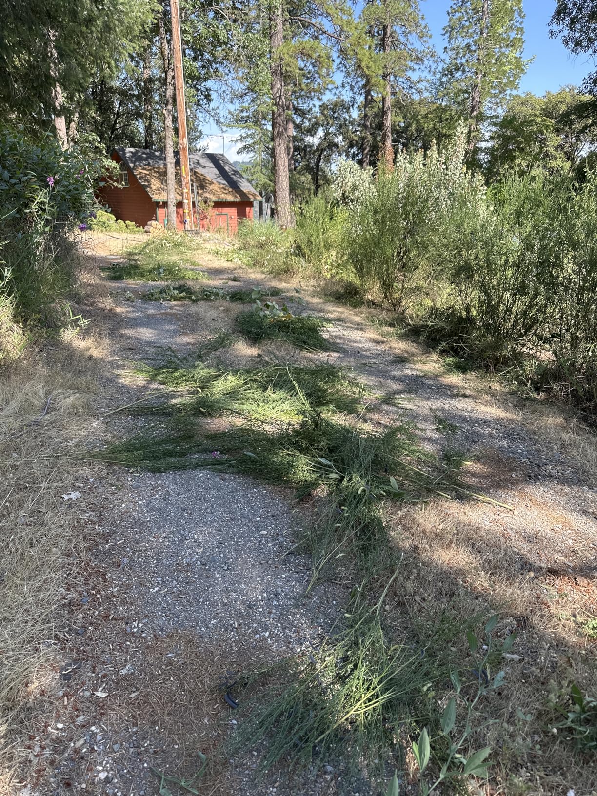 EGO Power+ Hedge Trimmer Cordless, Electric Hedge Trimmer 26