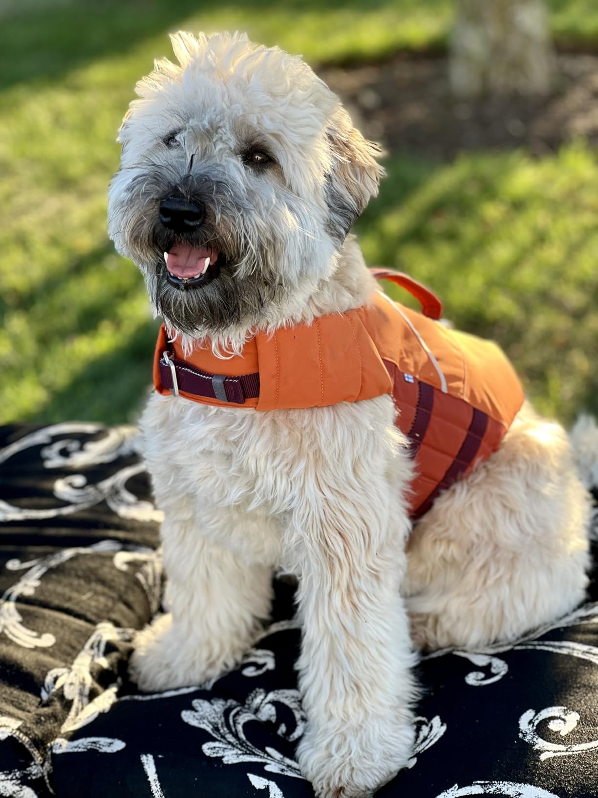 Hurtta ECO Life Savior, Dog Life Jacket, Buckthorn, 20-30 lb customer photo 1