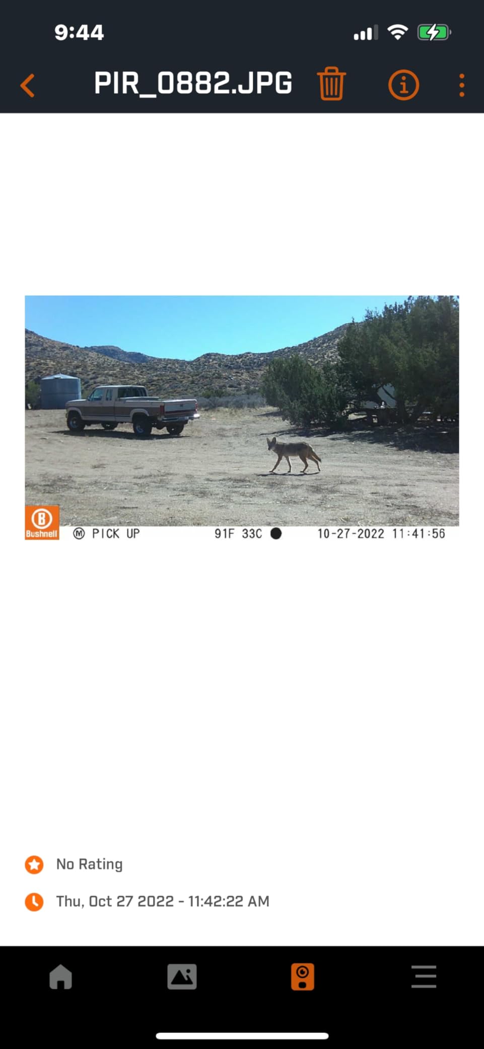 Bushnell CelluCORE 20 Dual-SIM Cellular Trail Camera - 20MP Image and 1080p HD Video, No Glow Infrared Night Vision, Wireless Connectivity with Dual SIM Card Support, Slate Green customer photo 1