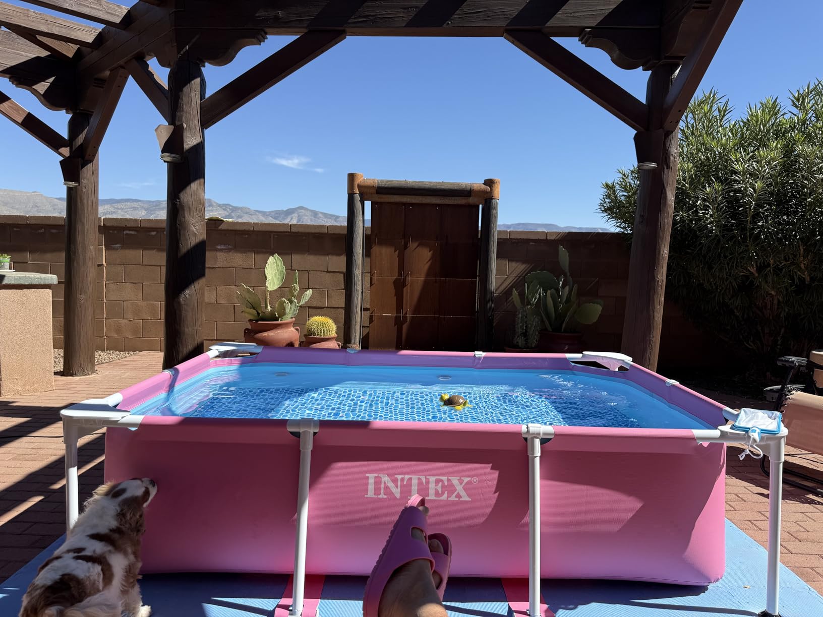 INTEX Metal Frame 7 ft x 5 ft x 23.5 in Above Ground Pool Set, Rectangular Swimming Pool with Steel Frame customer photo 2