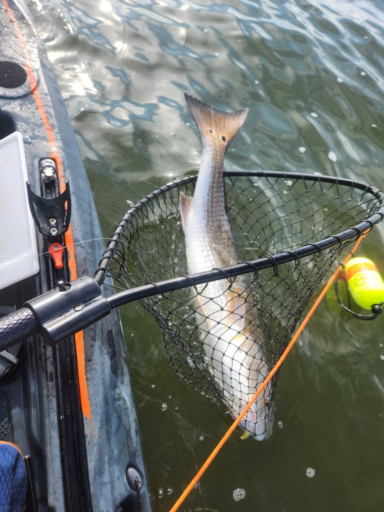 Daiwa BG SW Spinning Reel 4000-18000 (2023 Model) customer photo 2