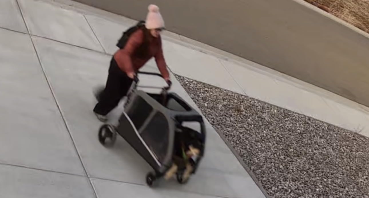 Dog Stroller for Large & Medium Dogs, Extra Large Pet Stroller, Dog Wagon for 2 Dogs, Foldable Design, Adjustable Handle, with Pocket, Up to 130 lbs customer photo 1