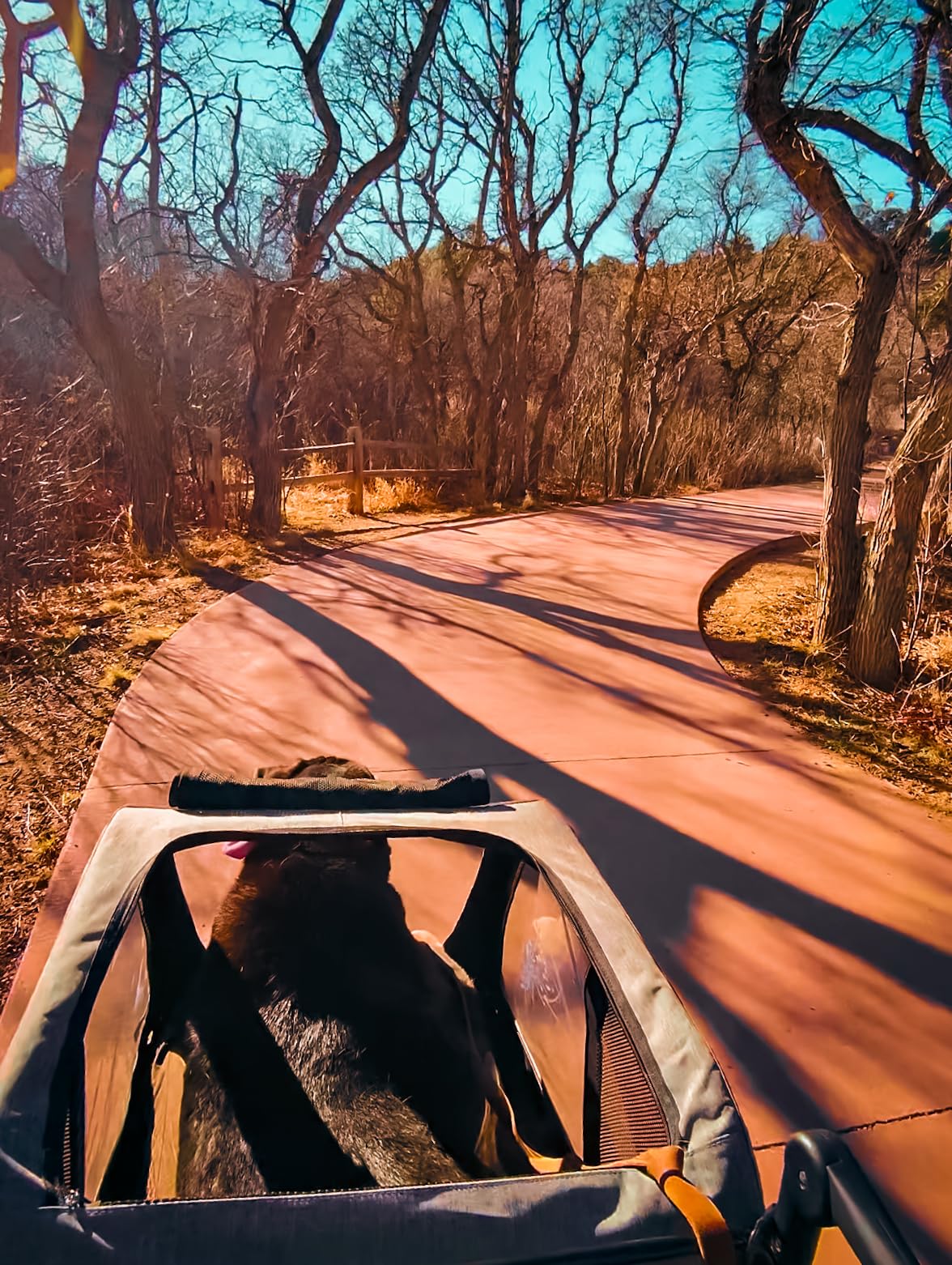 Dog Stroller for Large & Medium Dogs, Extra Large Pet Stroller, Dog Wagon for 2 Dogs, Foldable Design, Adjustable Handle, with Pocket, Up to 130 lbs customer photo 2