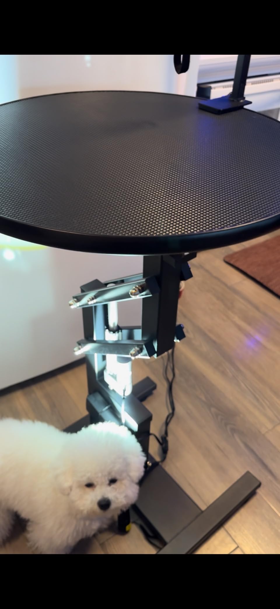 YITAHOME Electric Lift Dog Grooming Table 24