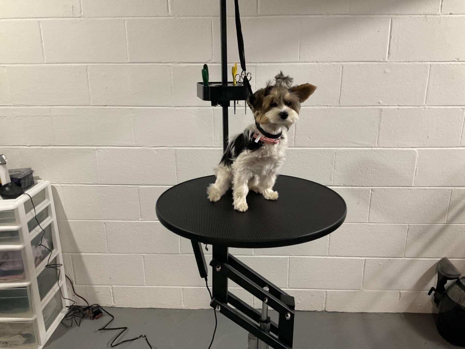 YITAHOME Electric Lift Dog Grooming Table 24