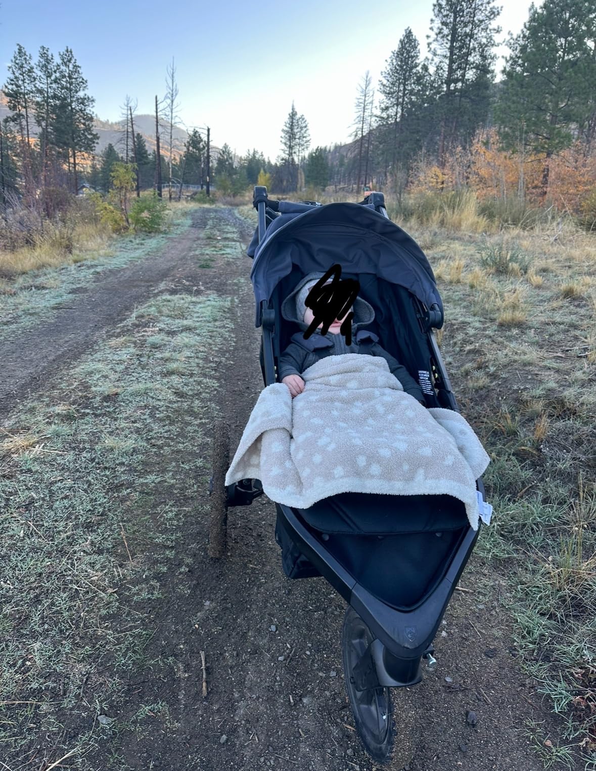 BOB Gear Wayfinder Jogging Stroller with Independent Dual Suspension, Air-Filled Tires, and 75-Pound Weight Capacity, Nightfall customer photo 1