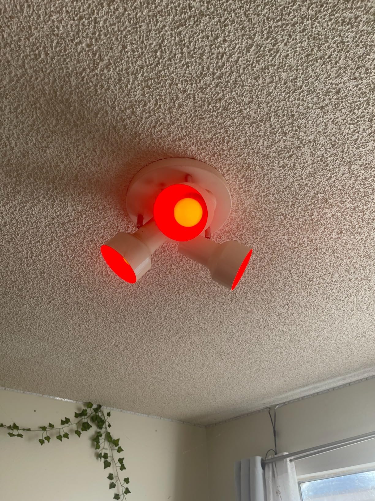 OREiN Matter Smart Light Bulb, Smart Light Bulbs Work with Apple Home, Alexa, Google Home, SmartThings, A19 Color Changing Light Bulbs 2.4Ghz WiFi, 800 Lumens Equivalent 60W 4Pack customer photo 2