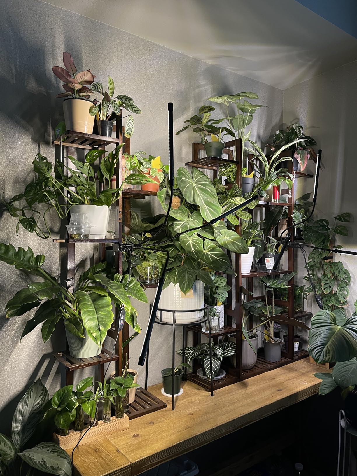 DolceLuna Plant Stand Indoor 6 Tier, Bamboo Plant Shelf Corner Display Rack, 46 Inch Tall Multiple Planter Pot Holder, Space-Saving Flower Stand for Living Room Balcony Garden Patio customer photo 1