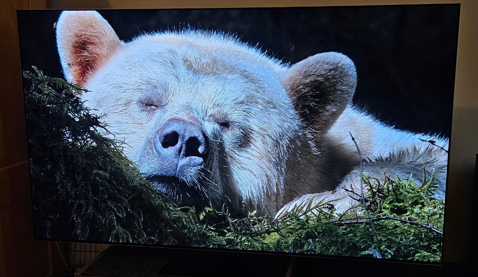 LG G3 Series 83-Inch Class OLED evo 4K Processor Smart Flat Screen TV for Gaming with Magic Remote AI-Powered Gallery Edition OLED83G3PUA, 2023 with Alexa Built-in customer photo 1