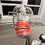 Head Model Dental Simulator Manikin Phantom with Bench Mount for Dentist Teaching 360-degree Adjustment customer photo 1