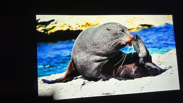 YABER K2s WiFi 6 Bluetooth Projector with Google TV, 4K Supported, Sound by JBL, Dolby Audio, Auto Focus & Keystone, Native 1080P Outdoor Movie Projector with Netflix 7000+ Apps customer photo 2