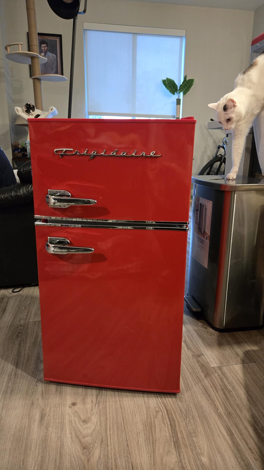 Frigidaire EFR840 Retro Mini Fridge with Freezer & Side Bottle Opener-Small 2 Door Refrigerator for Office Bar or College Dorm Room-3.1 Cu Ft (Cream) customer photo 1