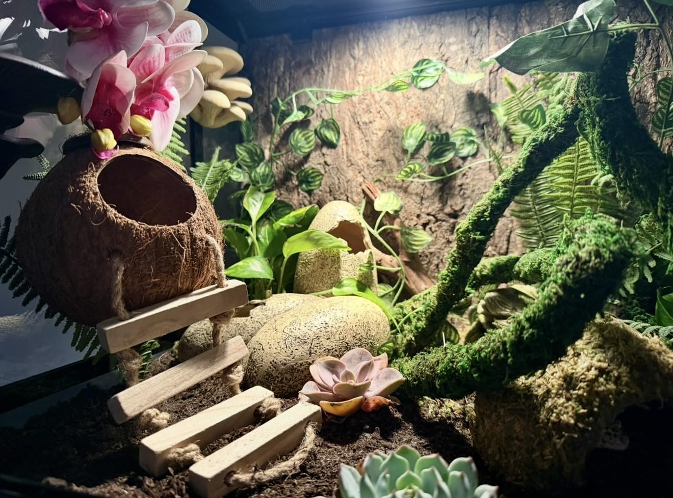 REPTI ZOO Reptile Tempered Glass Extra-Long Terrarium Habitats 48