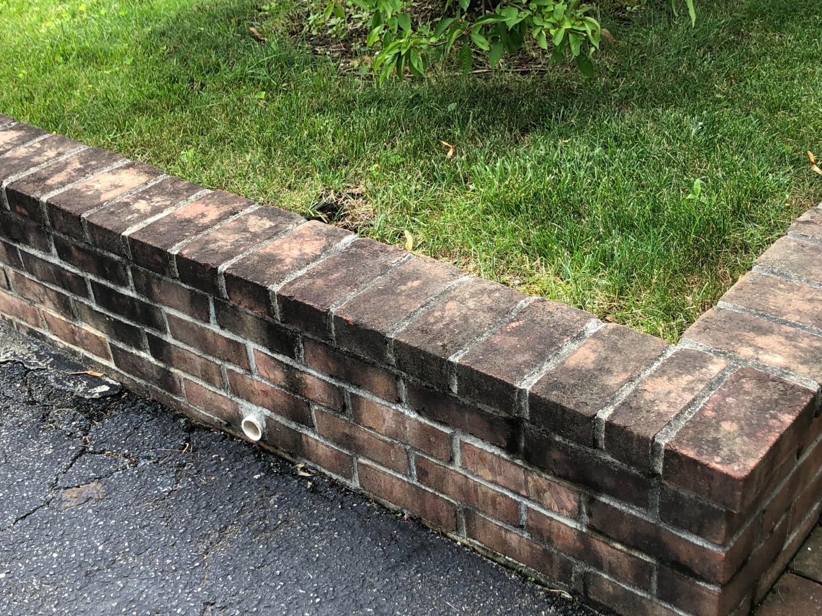 Westinghouse ePX3100v Electric Pressure Washer, 2100 Max PSI 1.76 Max GPM, Built-in Carry Handle, Detachable Foam Cannon, Pro-Style Steel Wand, 3-Nozzle Set customer photo 2