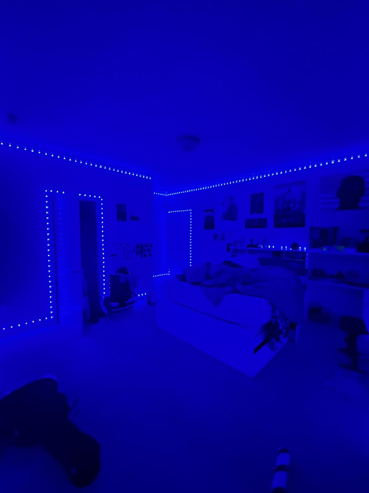 DAYBETTER LED Strip Lights 200 ft (2 Rolls of 100 ft), Smart App Control Lighting Bedroom Rome Decor with Remote, RGB Music Sync Color Changing LED Lights for Party customer photo 1