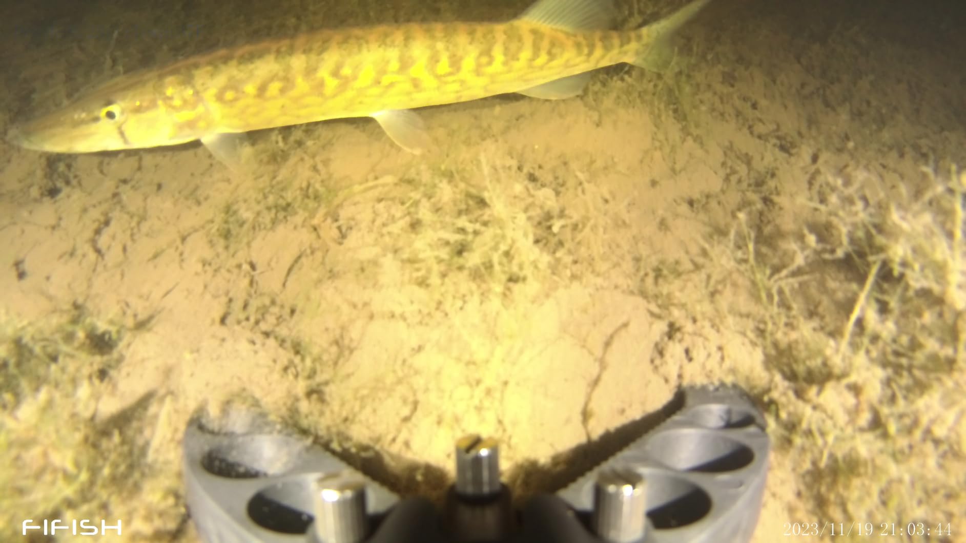 QYSEA FIFISH V-EVO ROV OmniView 4K 60FPS Underwater Drone ARM Package customer photo 1
