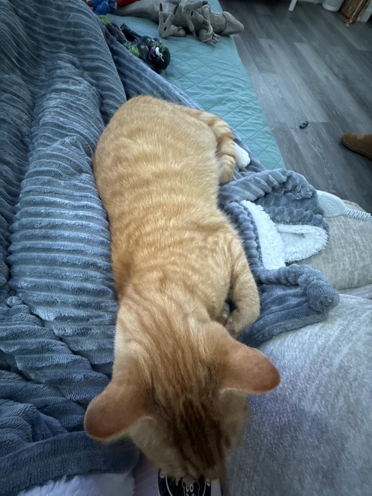 Bedsure GentleSoft Heated Blanket Electric Throw - Soft Ribbed Flannel Electric Blanket, Heating with 4 Time Settings, 6 Heat Levels, 3 hrs Timer Auto Shut Off, Gifts for Grandma (50x60 inches, Grey) customer photo 1