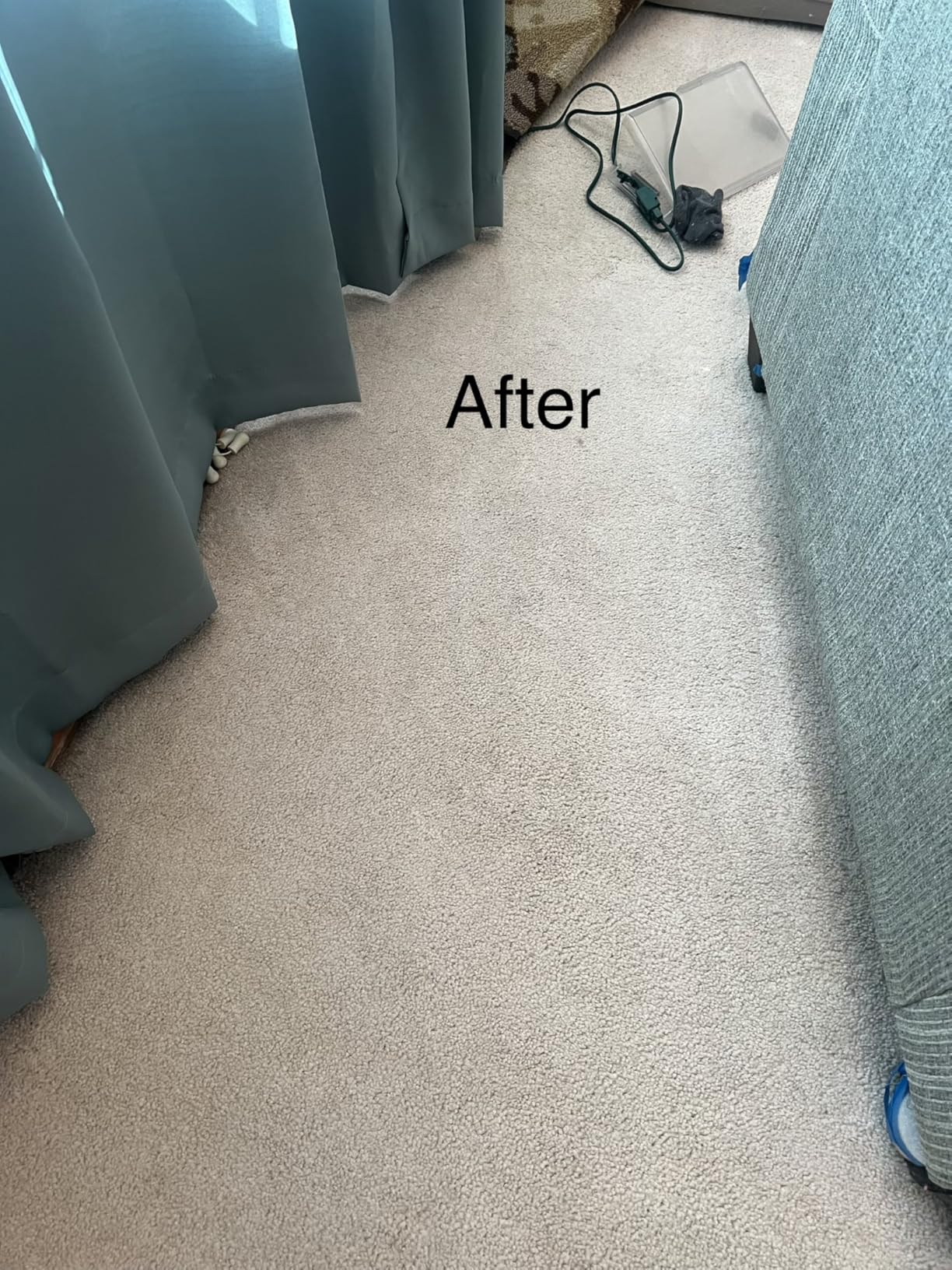 Hoover PowerDash Pet+ Compact Carpet Cleaner Machine, Lightweight Carpet Shampooer Machine, Pair with a Hoover Carpet Cleaner Solution for a Bright, Refreshed Home customer photo 1