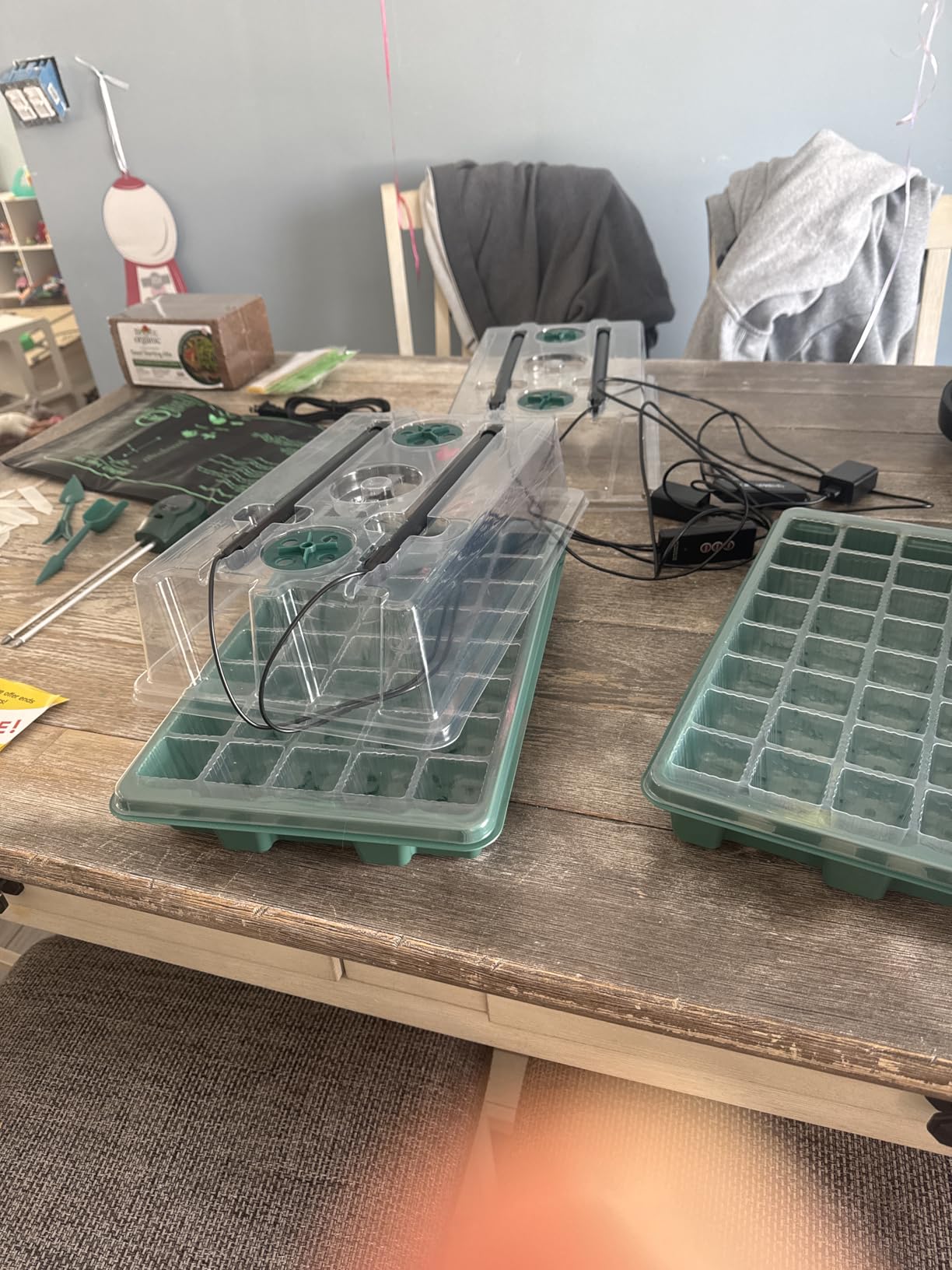 Seed Starter Kit with Grow Lights & Heat Mat - 40-Cell Seed Starter Tray, Humidity Dome, Soil Moisture Meter & Sticky Gnat Traps - Indoor Greenhouse & Plant Propagation Station customer photo 2