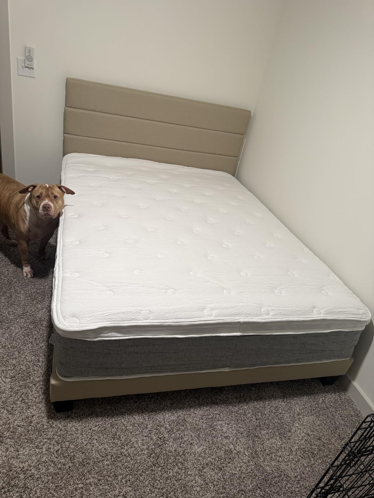 Allewie King Size Platform Bed Frame with Fabric Upholstered Headboard and Wooden Slats Support, Fully Upholstered Mattress Foundation, No Box Spring Needed, Beige customer photo 2