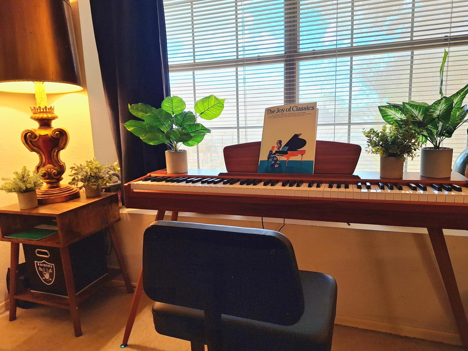 Donner DDP-80 PLUS Digital Piano 88 Key Weighted Keyboard, Home Electric Piano, Supports USB-MIDI & Headphones Connection, Semi-open Cover Designed, with Metal Three Pedal, Power Adapter customer photo 2