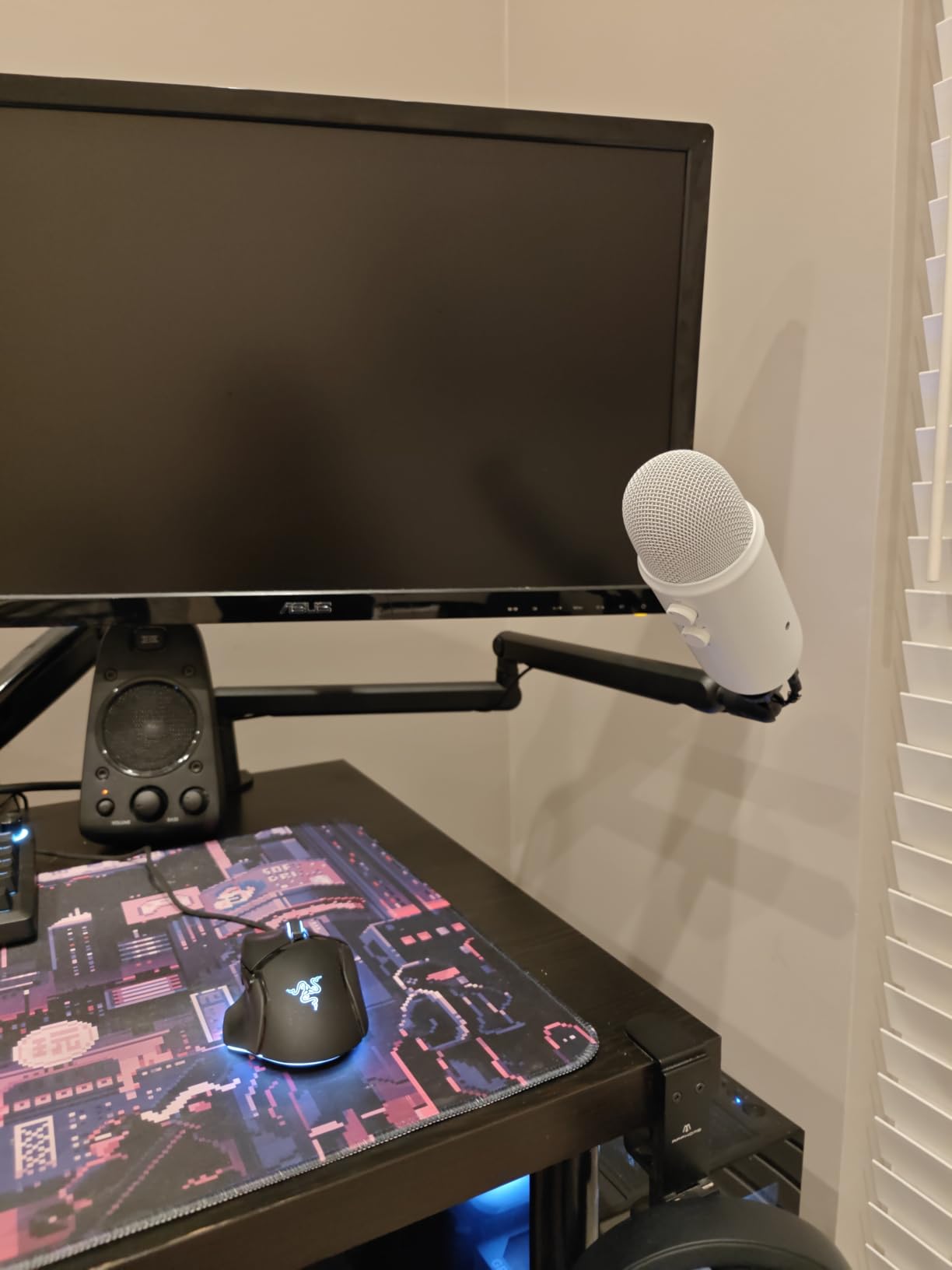 FIFINE Microphone Boom Arm, Low Profile Adjustable Stick Microphone Arm Stand with Desk Mount Clamp, Screw Adapter, Cable Management, for Podcast Streaming Gaming Studio-BM88 customer photo 1