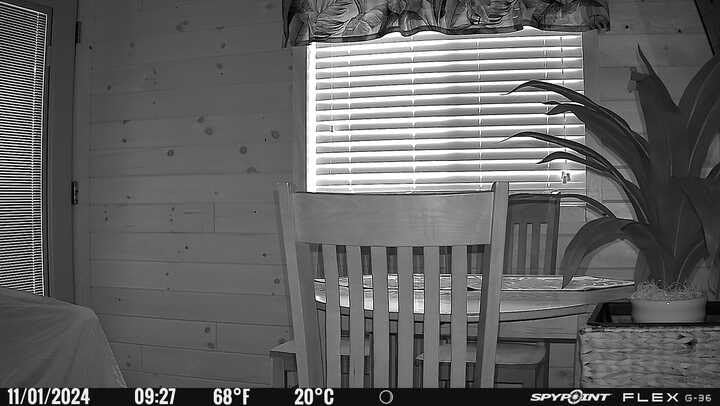 SpyPoint Flex G-36 Twin Pack Cellular Trail Camera, 36MP Photos and 1080p Videos with Sound, GPS Enabled, Dual-Sim LTE Connectivity, 100 ft Flash & Detection Range, Responsive Trigger up to .3S customer photo 1