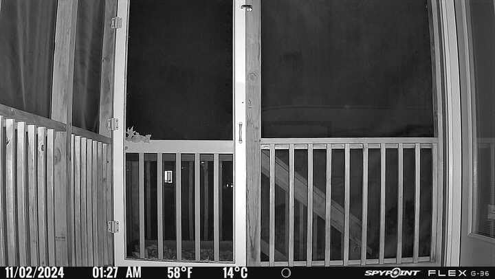 SpyPoint Flex G-36 Twin Pack Cellular Trail Camera, 36MP Photos and 1080p Videos with Sound, GPS Enabled, Dual-Sim LTE Connectivity, 100 ft Flash & Detection Range, Responsive Trigger up to .3S customer photo 2